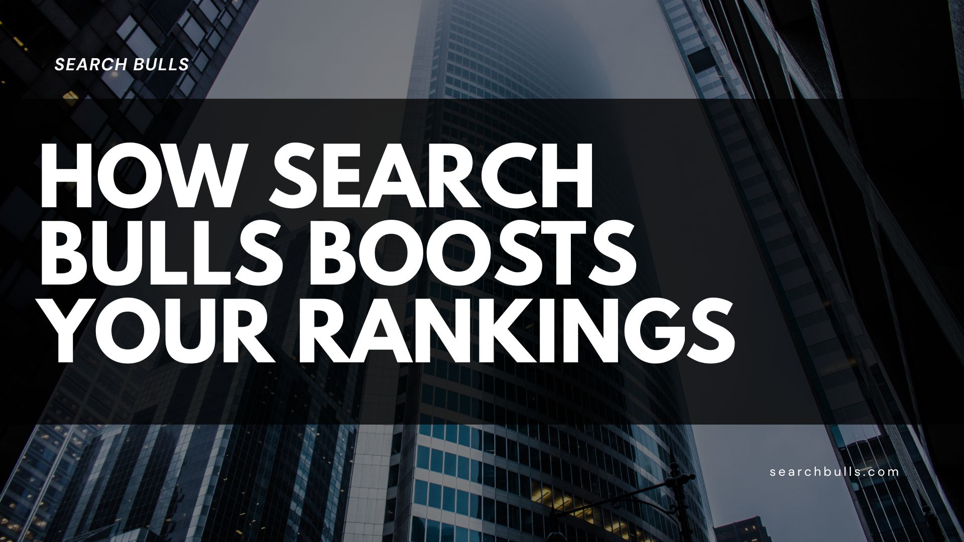 How Search Bulls Can Help You Rank High on Google